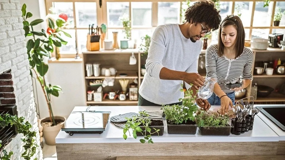 Growing Herbs and Vegetables at Home