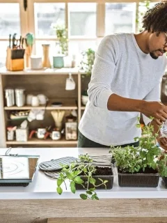 Growing Herbs and Vegetables at Home
