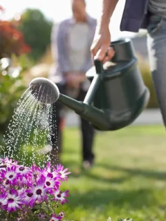 Watering Techniques for Healthy and Thriving Plants